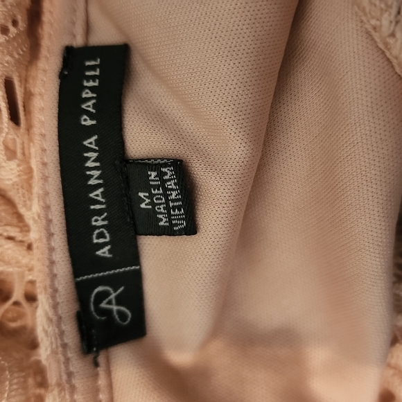 Adrianna Papell Blush Pink Metallic Lace Overlay Blouse Medium - Picture 5 of 6